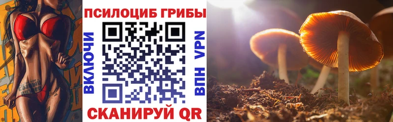 Псилоцибиновые грибы прущие грибы  Инсар 