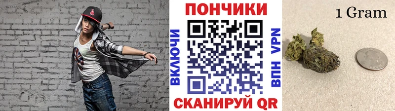 площадка официальный сайт  Инсар  Канабис план 